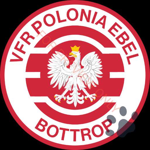 VFR POLONIA EBEL