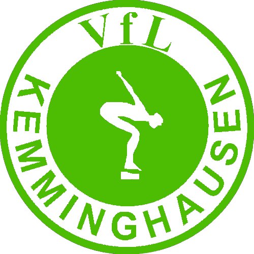 VfL Kemminghausen 1925 e.V. – Abteilung Schwimmen